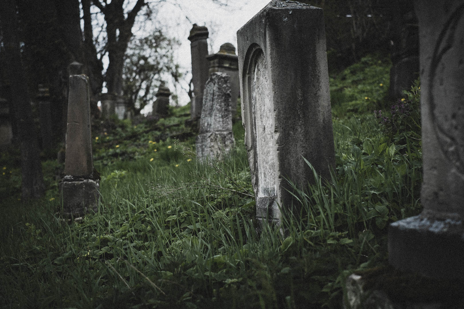 Borgholz, Jüdischer Friedhof
